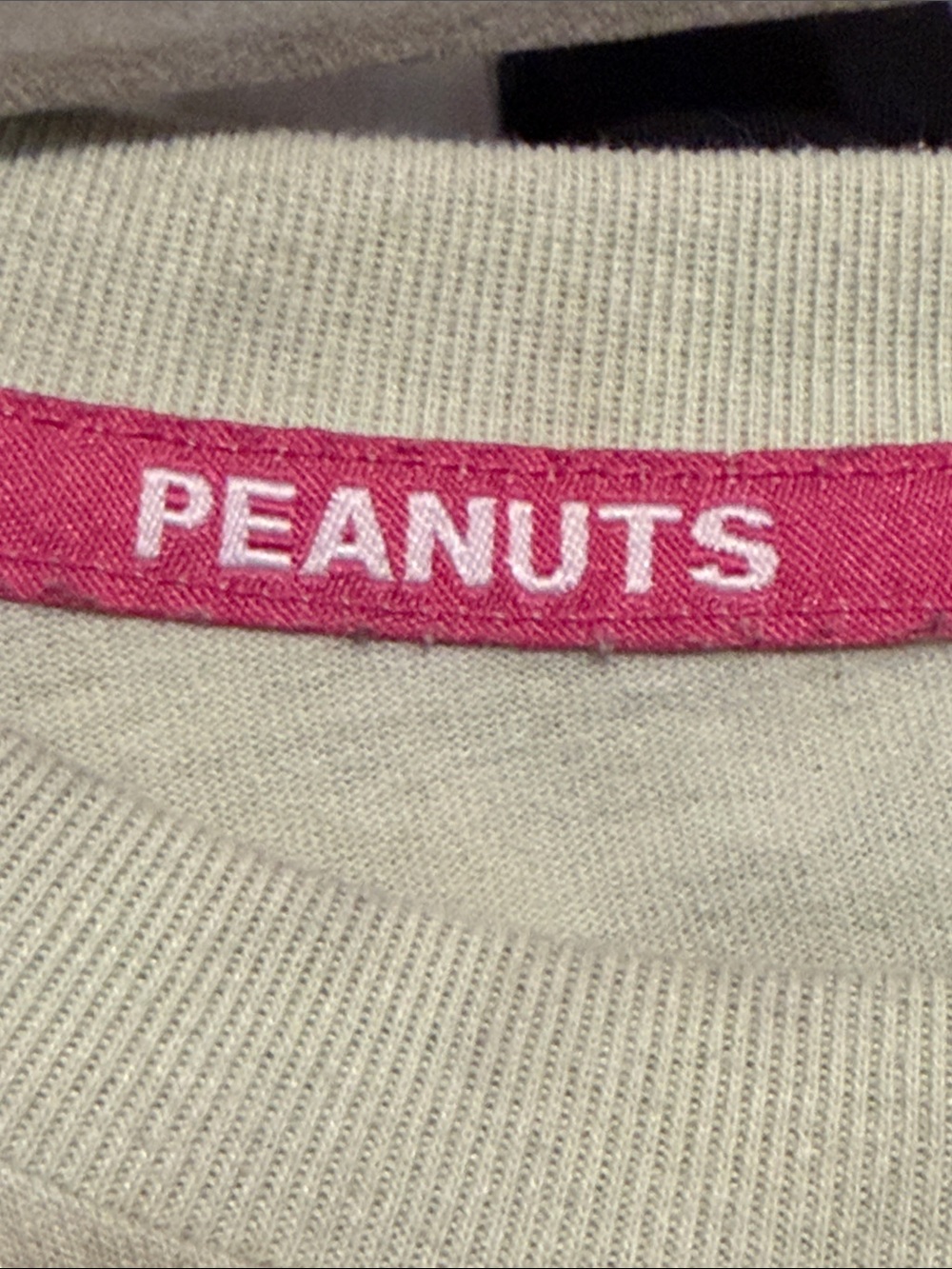 Peanuts by Schulz Sage Green Graphic Tee Size XXL Snoopy Charlie Brown - Picture 3 of 4